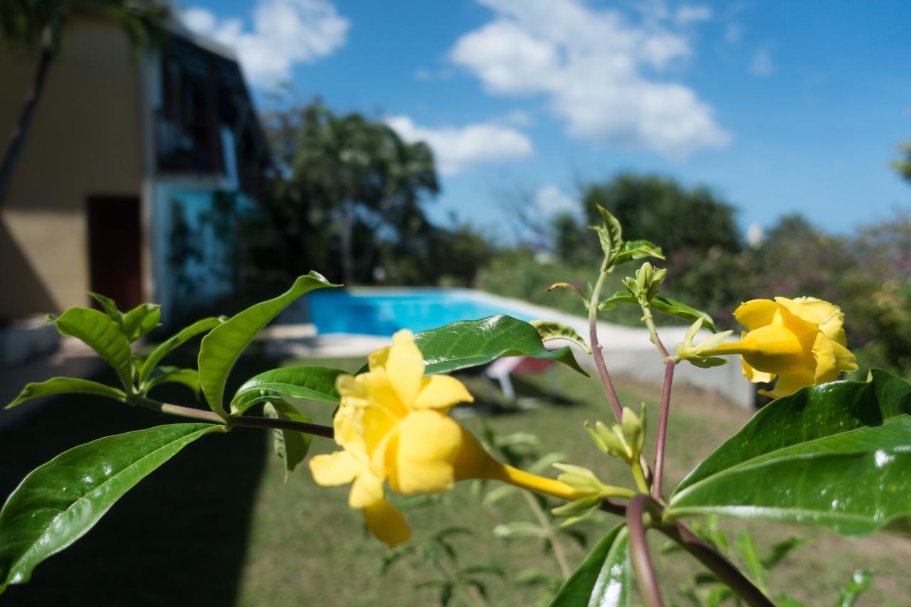 Ferry La Muscade B&B 외부 사진
